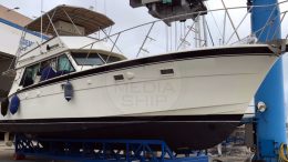 HATTERAS 52