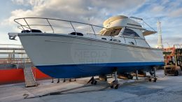 GOLDSTAR 360