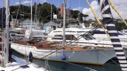 ALBATROS 49