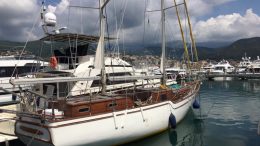  ALBATROS 49