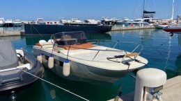 INVICTUS CX270