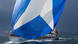 SWAN 391