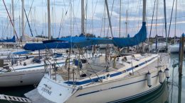 BAVARIA 44