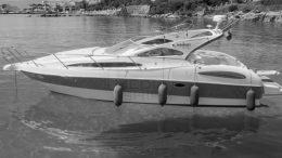  GOBBI 375 SC