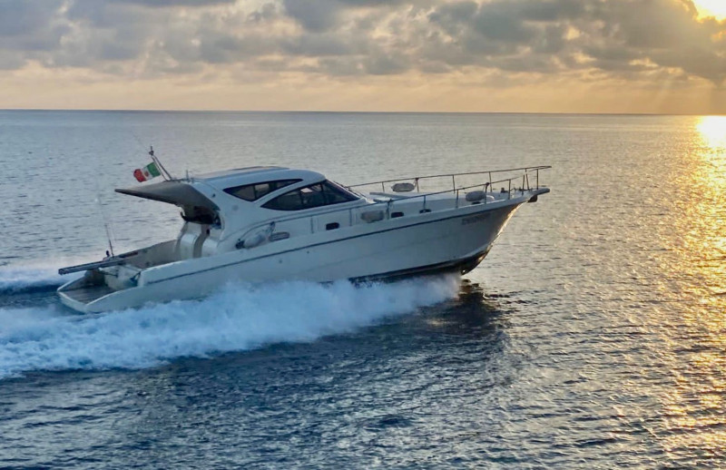 CAYMAN 43