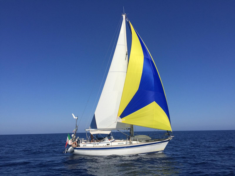 HALLBERG RASSY 39