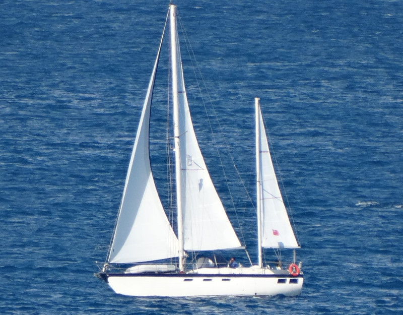 OYSTER 39